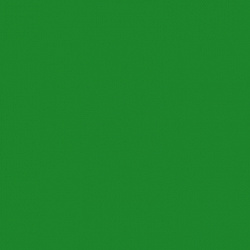 sl-113 искристый зеленый