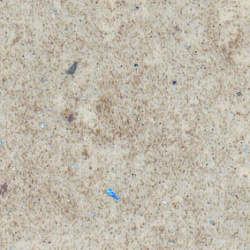  LM 0411-01